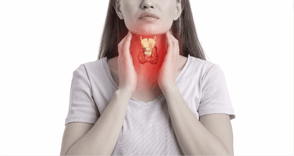 Understanding the Link Between Endometriosis and Thyroid Disorders