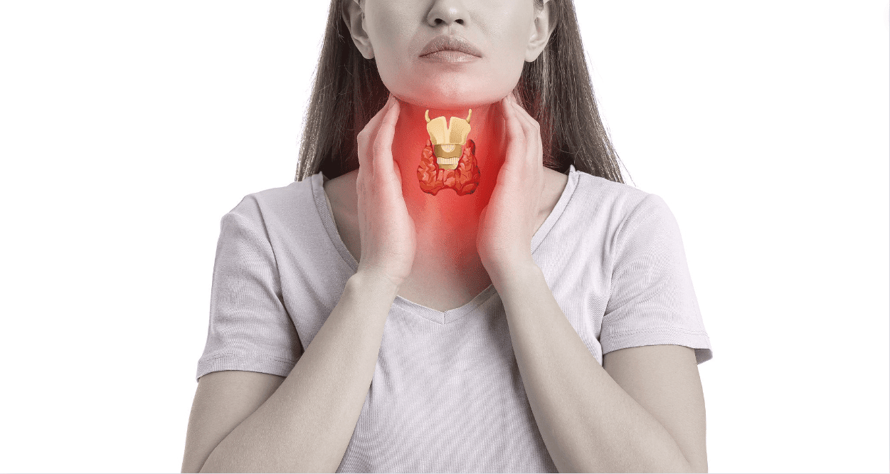 Understanding the Link Between Endometriosis and Thyroid Disorders