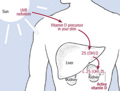 how to boost your vitamin d naturally