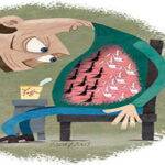 feeling bloated have sibo